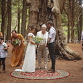 wedding example 4-384.jpg